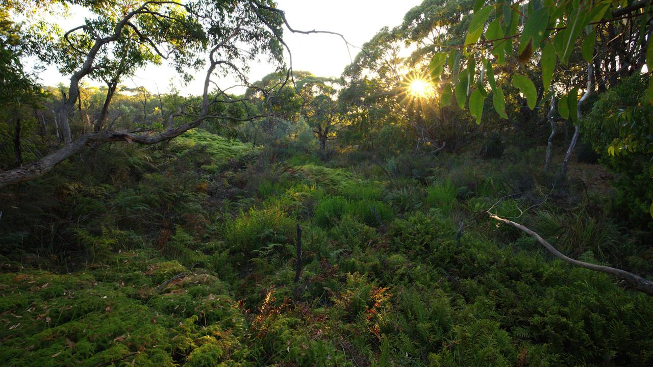 Hindmarsh Valley National Park