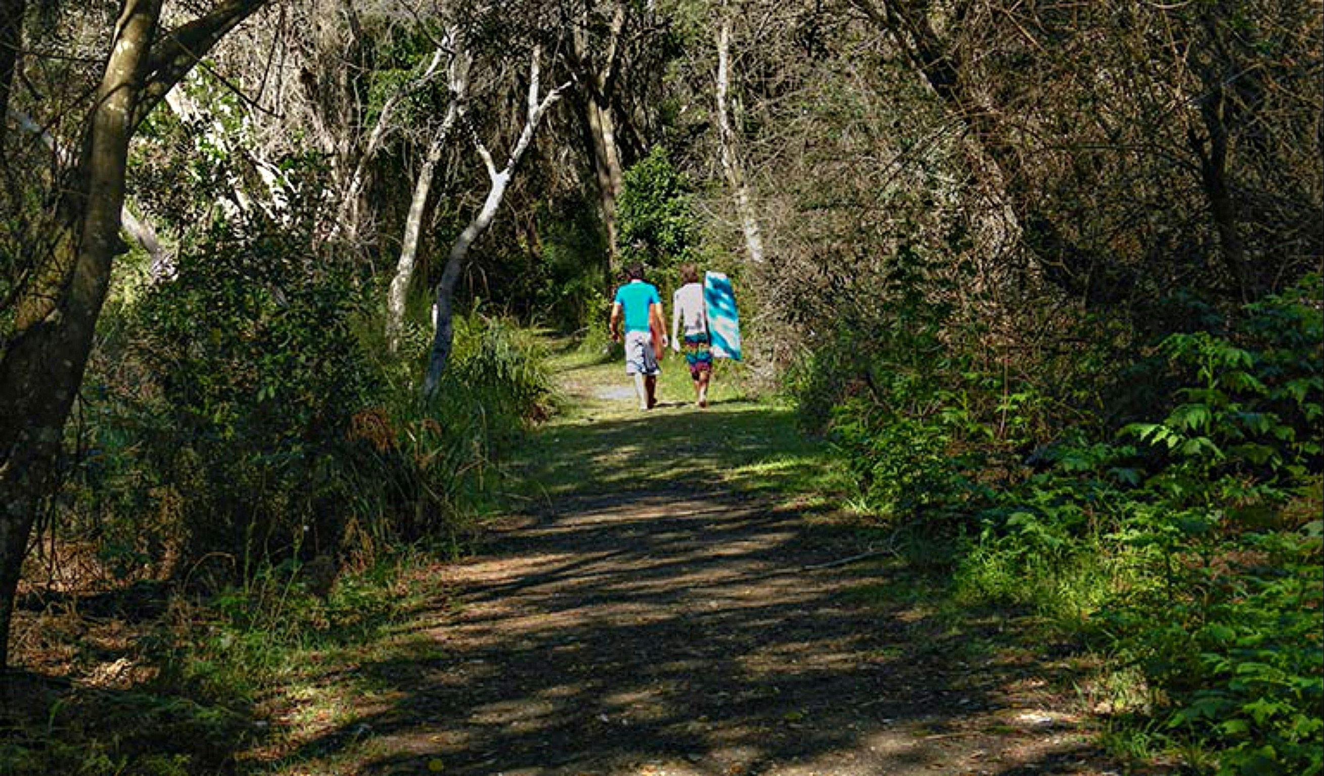 Crowdy Gap Wanderweg, Crowdy Bay National Park. Foto: Debby McGerty/NSW-Regierung