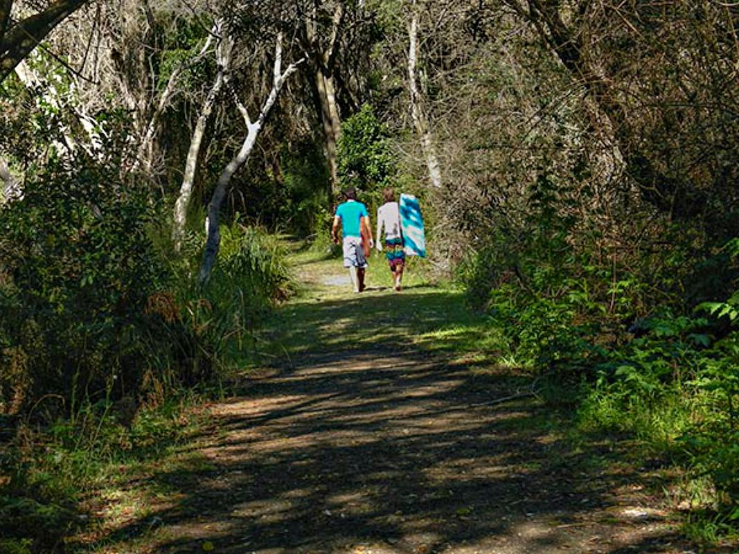 Crowdy Gap Walking Track