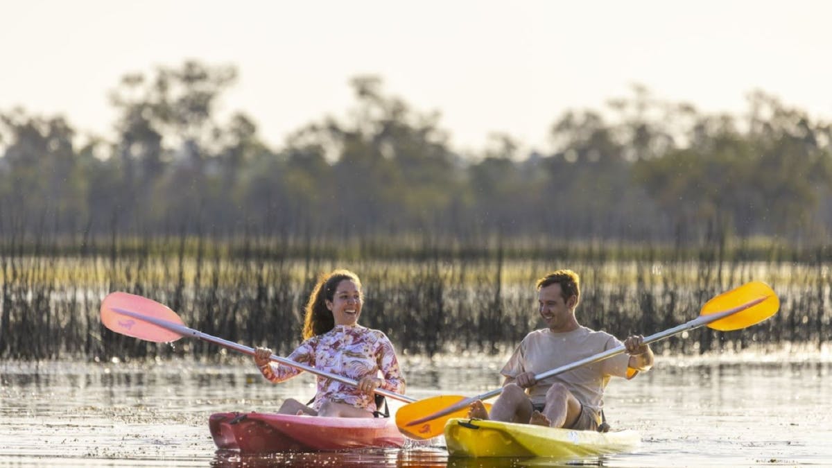 Kayak Tour