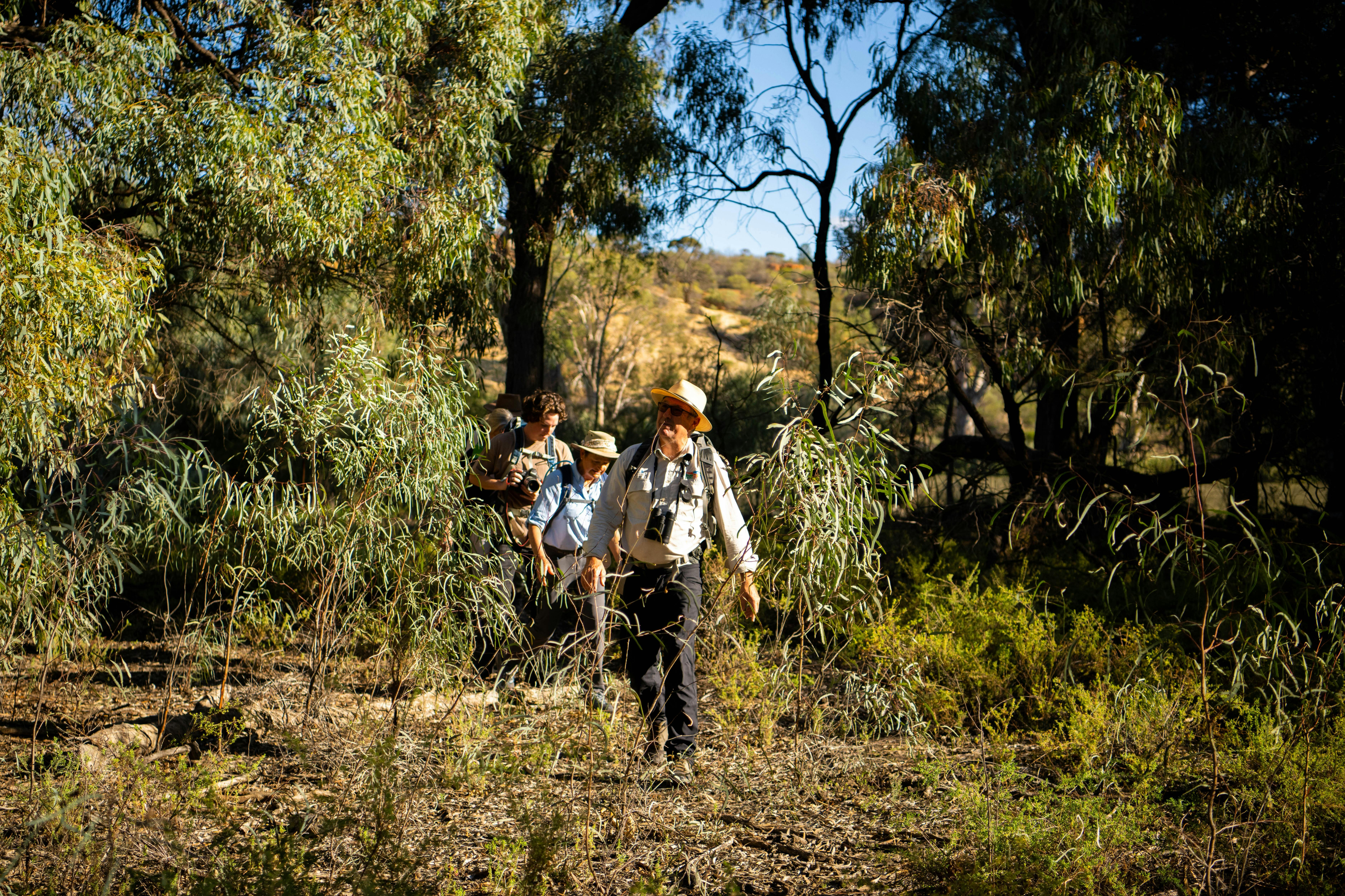 A guide leads a group through the unmarked walking route on the Murray River