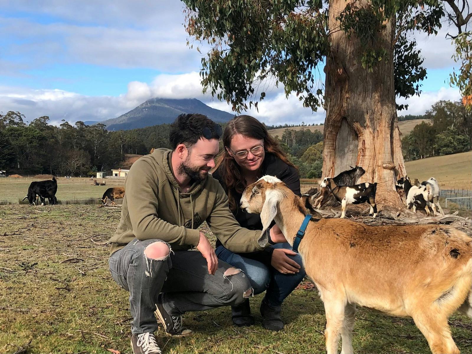 Couple patting a goat