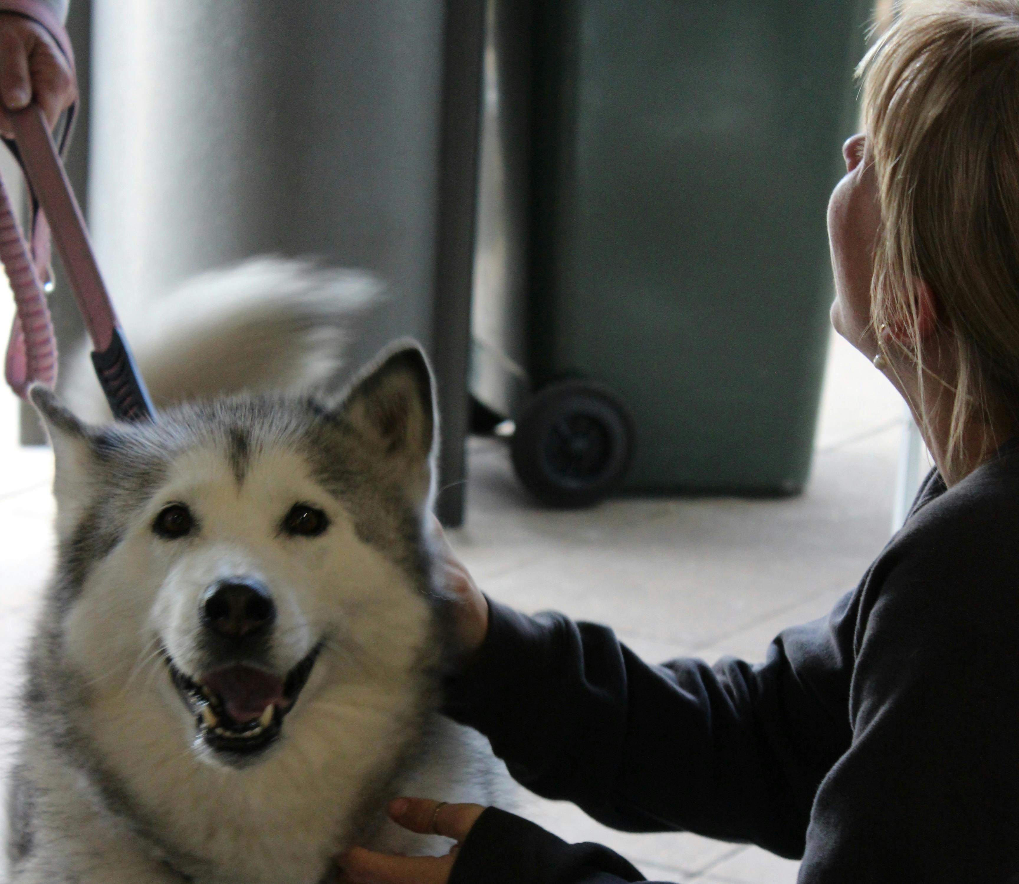 Longboard Cafe - dog friendly