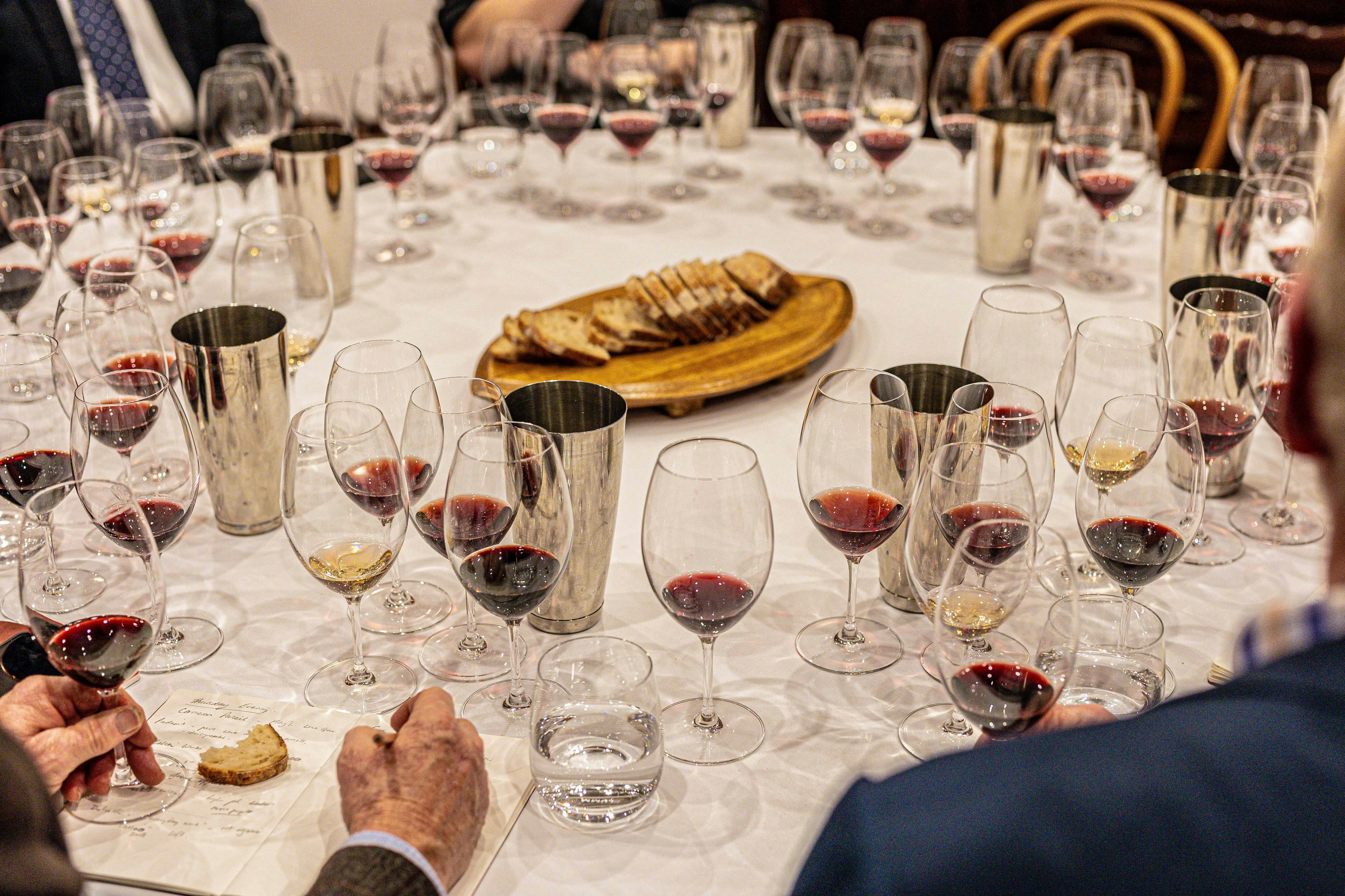 Winemaker lead red-wine tasting