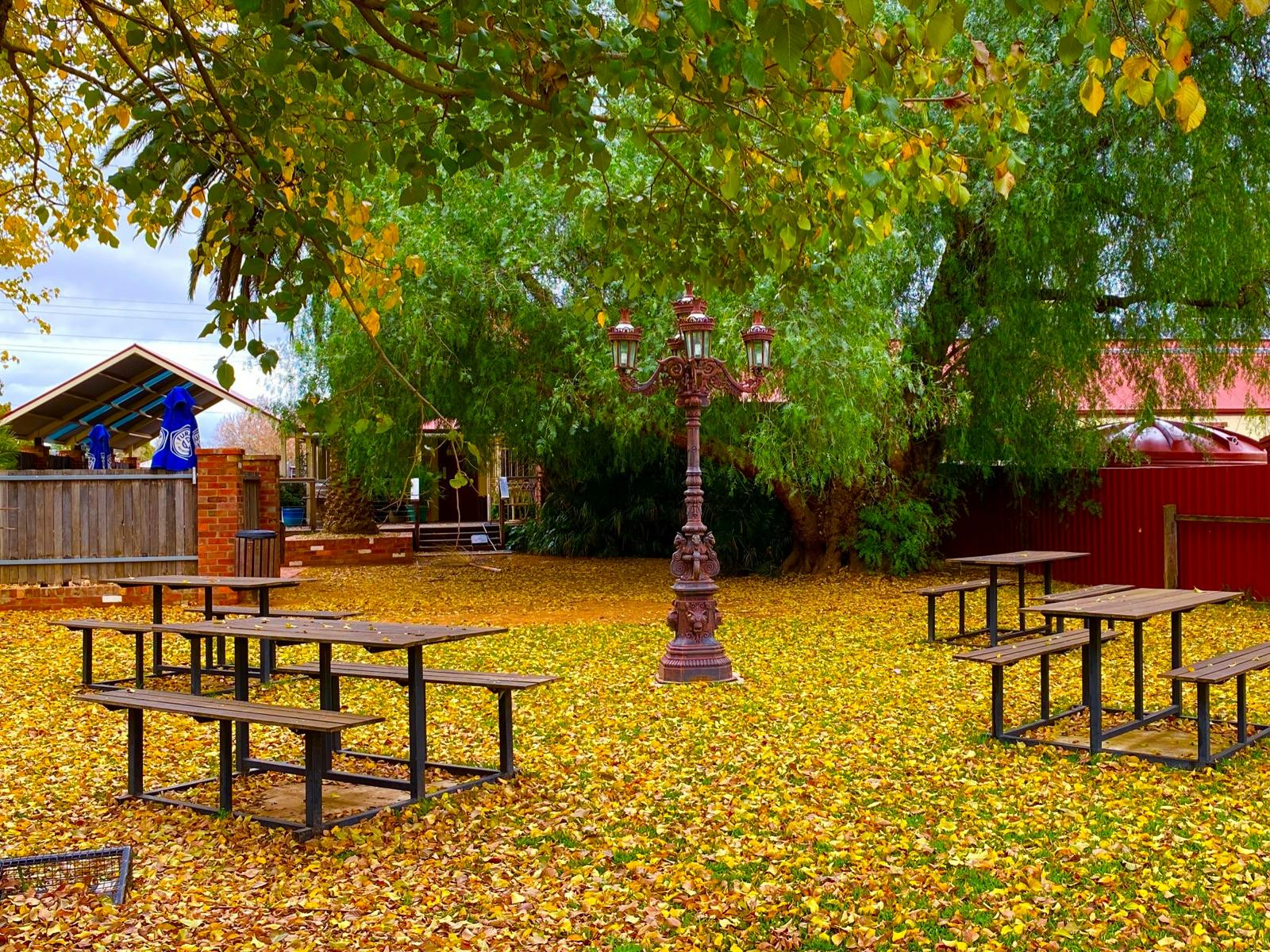 Beer garden in autumn