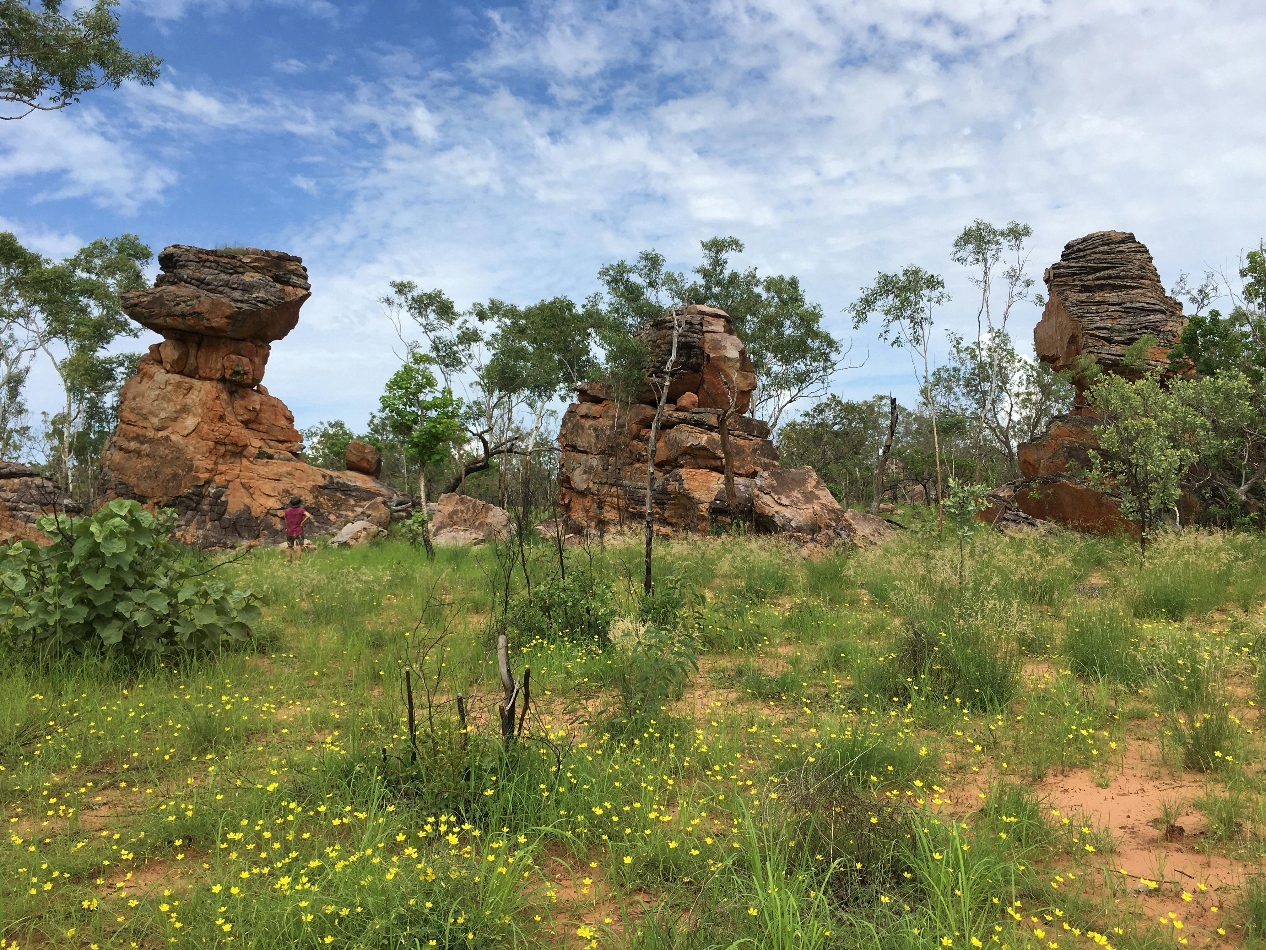 Dam to Dam 4WD Cruise Combo, Kununurra, Western Australia