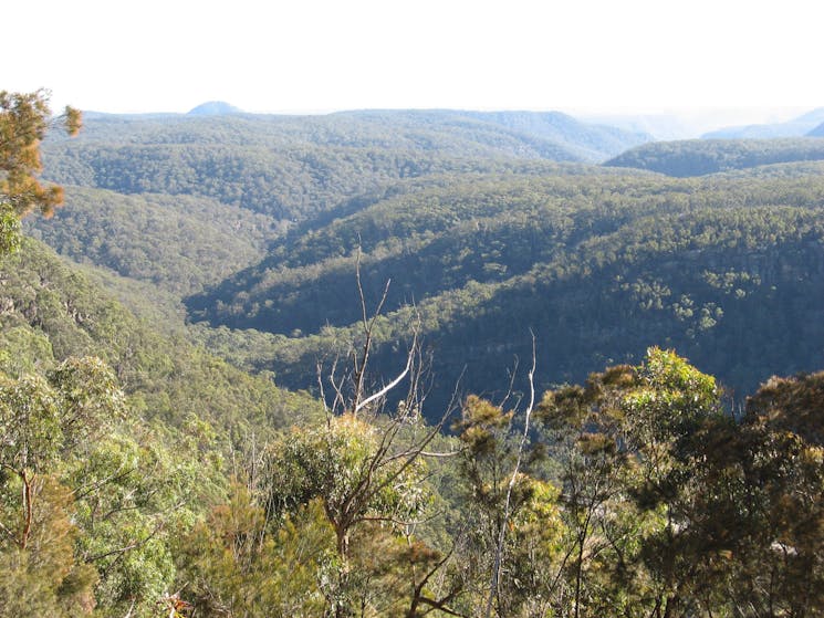 Nattai Gorge Lookout