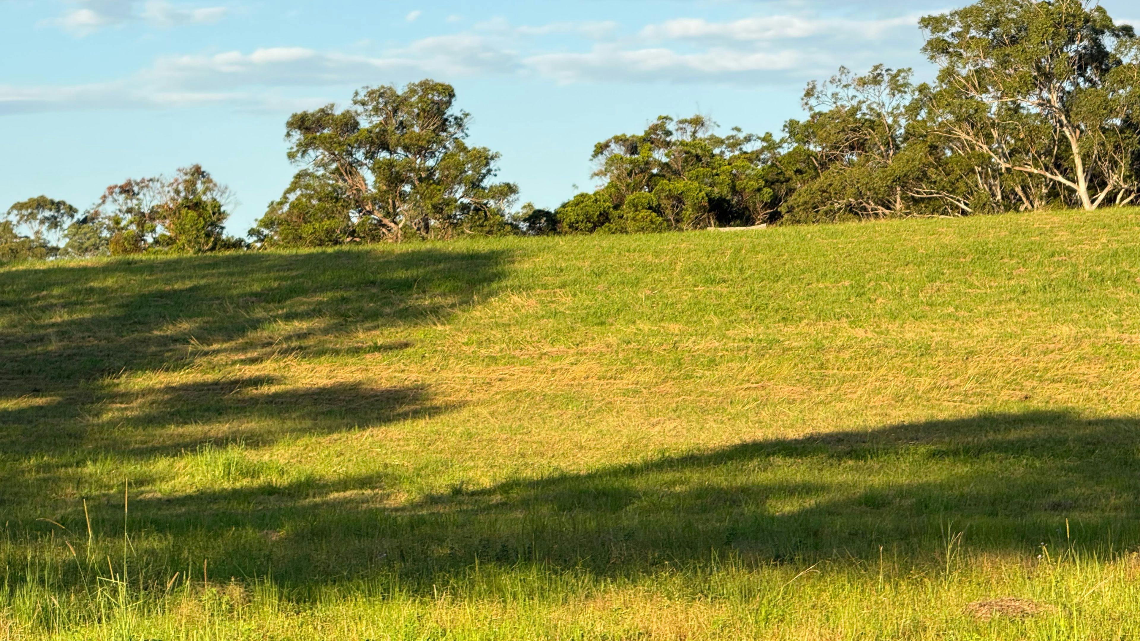 Bagotville Farm