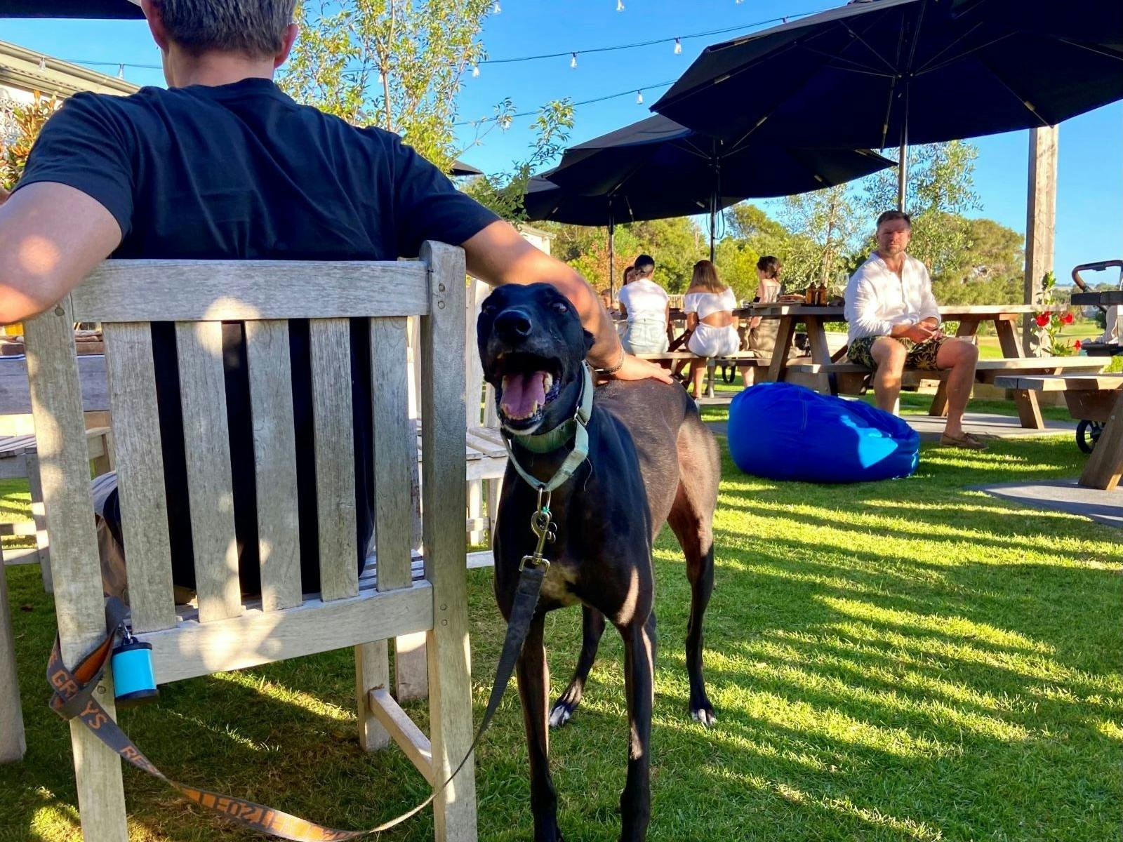 Peninsula Beer Garden