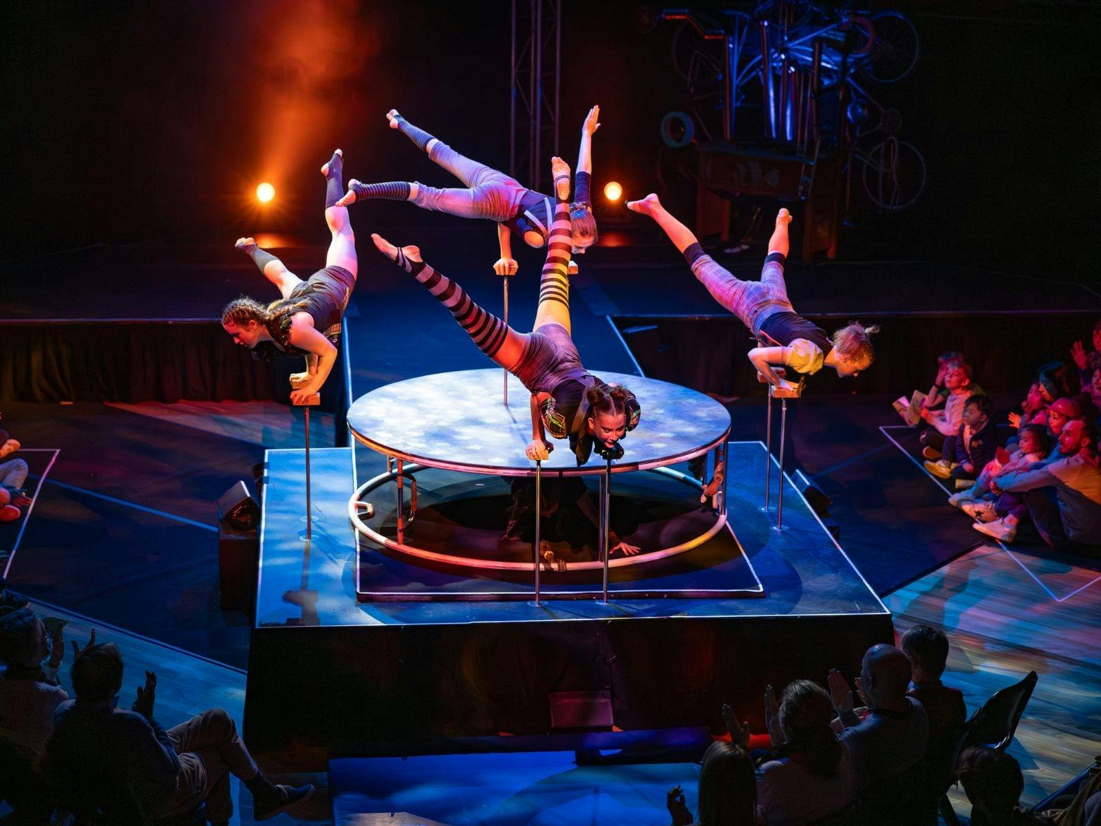 Flying Fruit Fly Circus