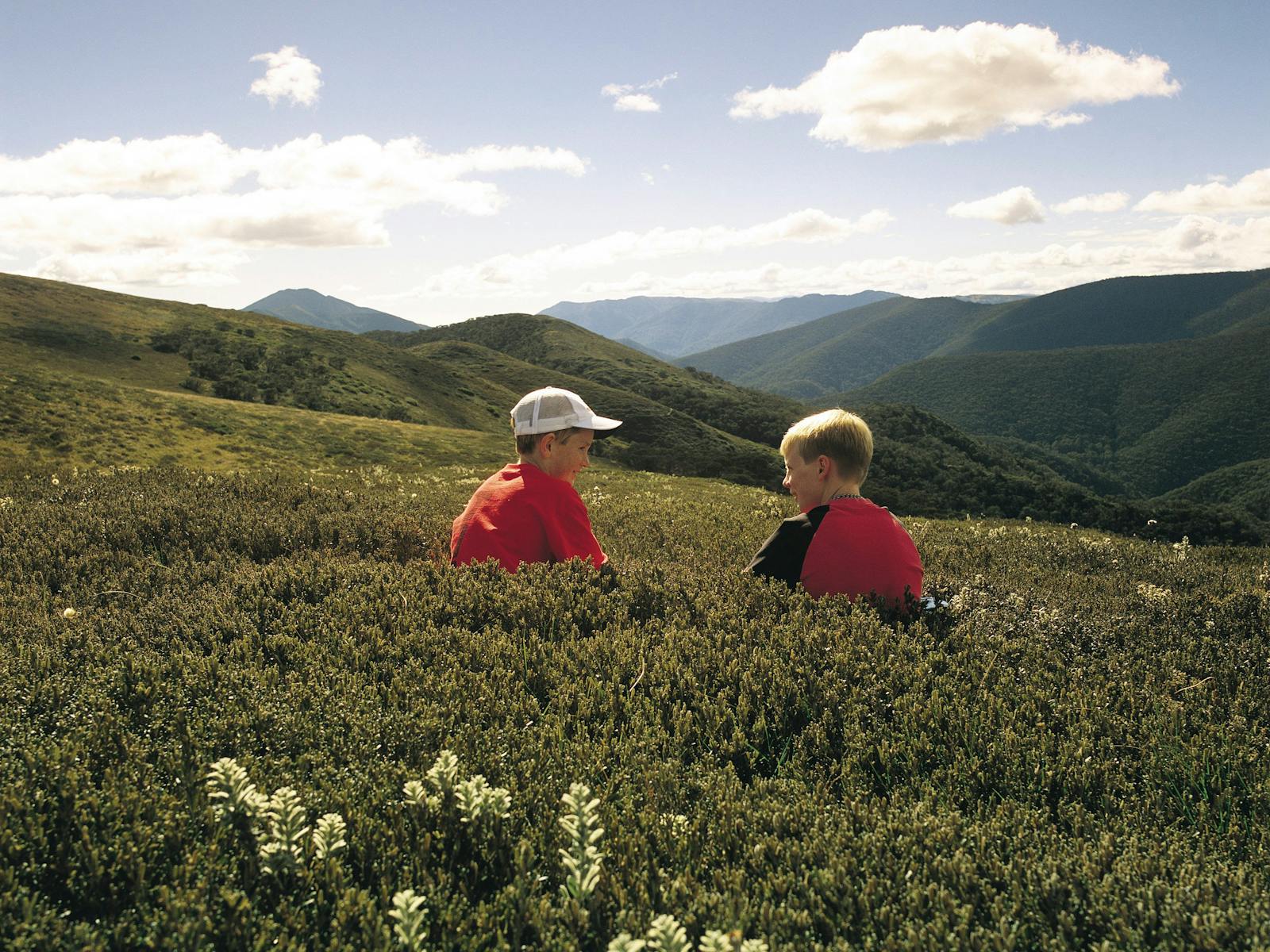 Alpine National Park