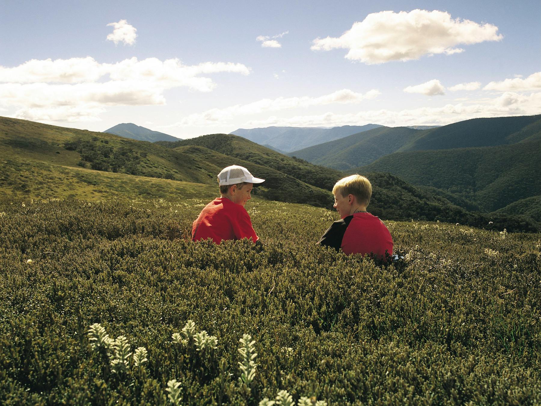Alpine National Park