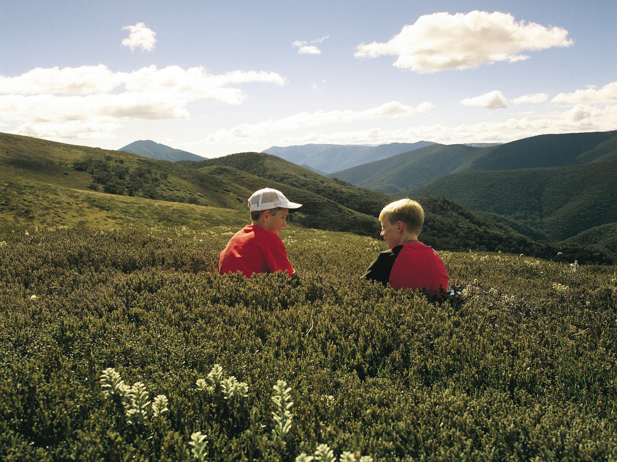 Alpine National Park