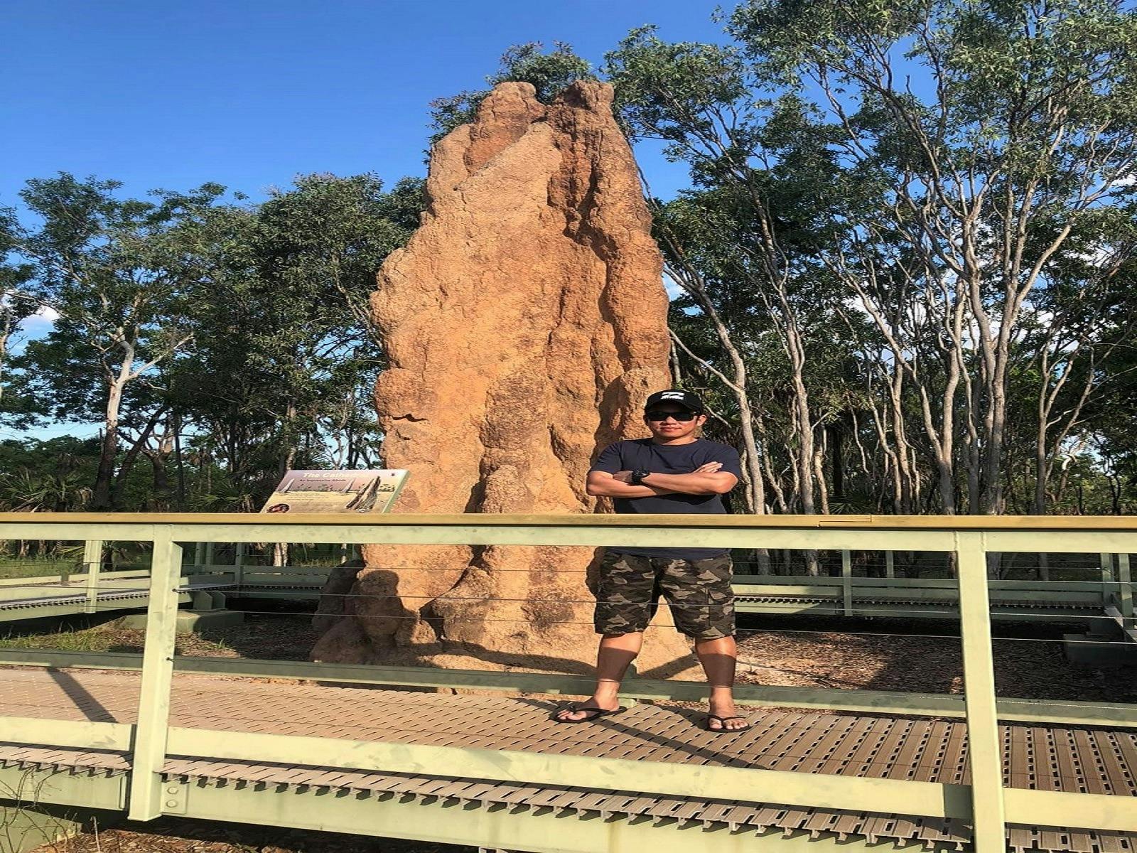 Termite mount