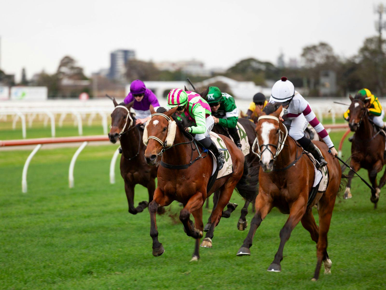 Racing at Master Builders Association Race Day