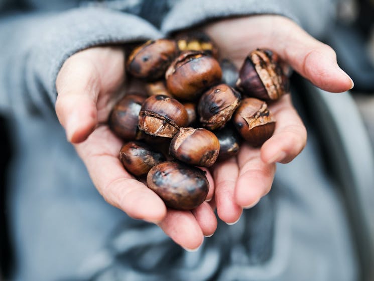 Chestnuts