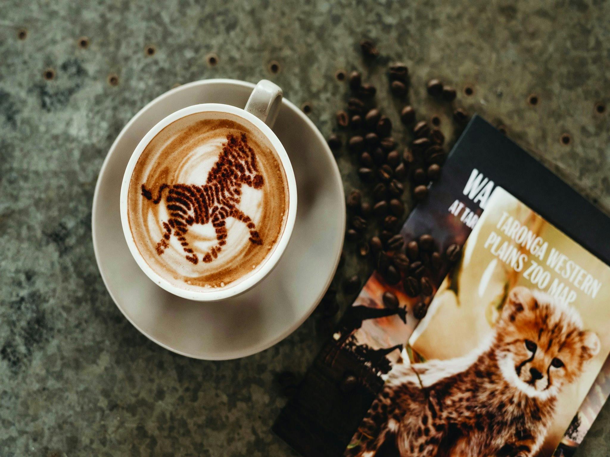 Zoo Cafe and Bar NSW Holidays & Things to Do