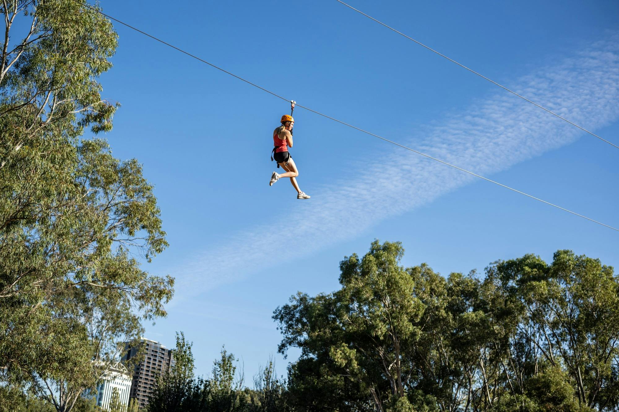 TreeClimb Adelaide Zipline