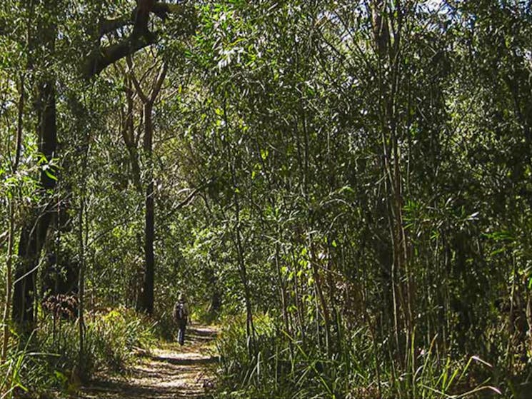 Sand track walk (south)