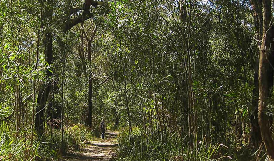 Sand track walk (south)