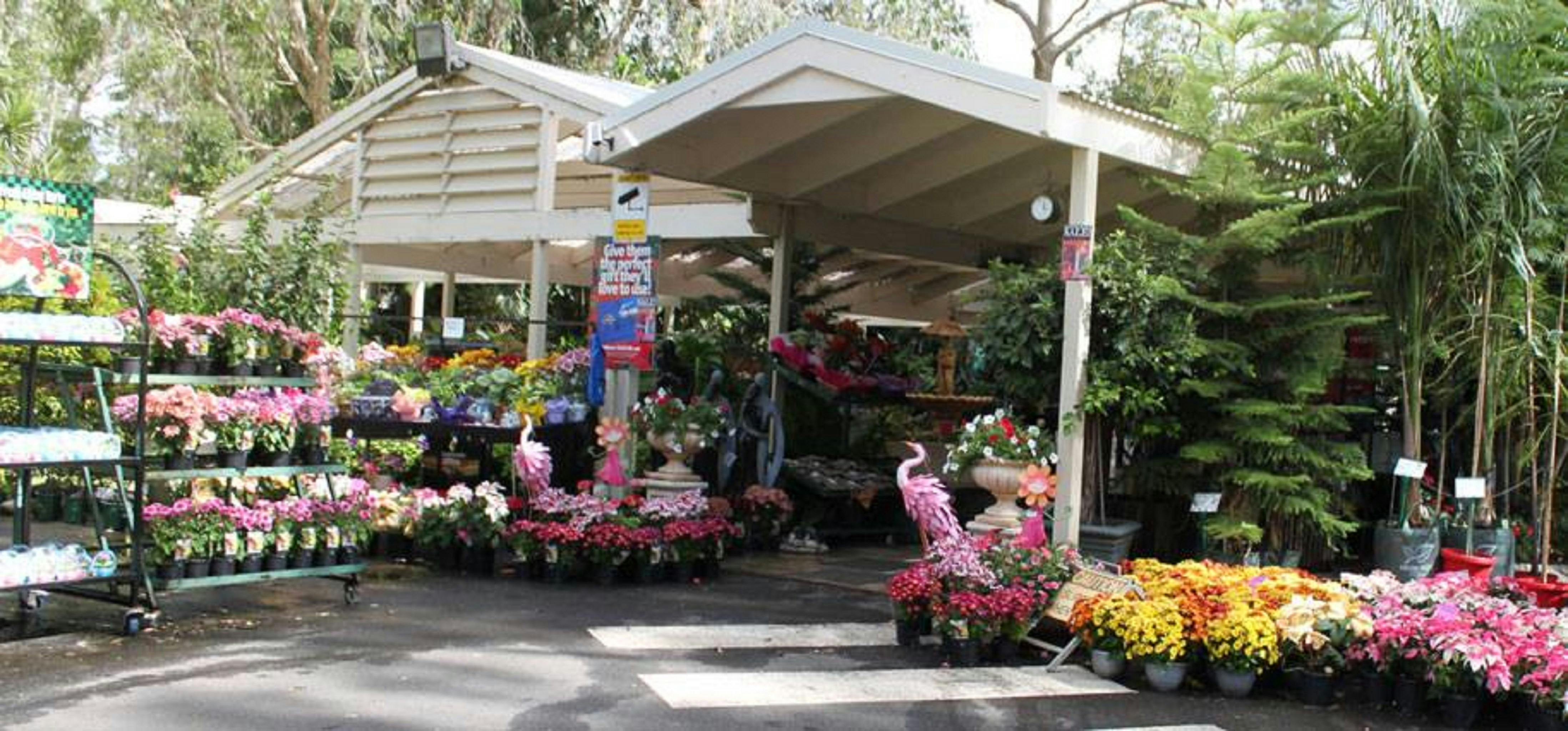 Pohlman's Nursery