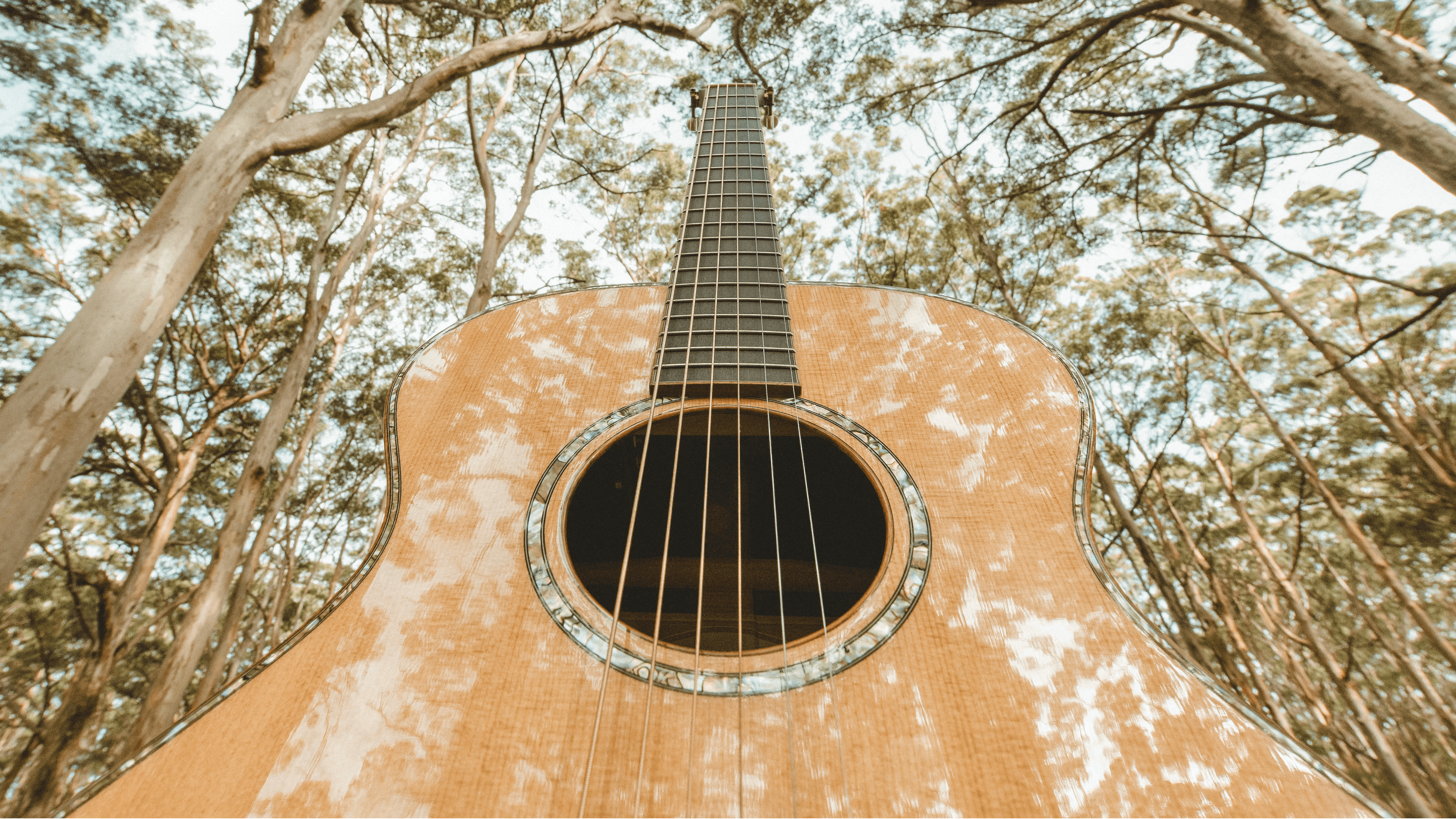 Strings Attached The West Australian Guitar Festival Event