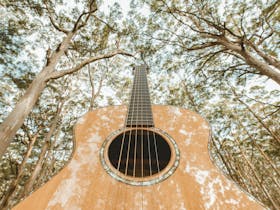 Strings Attached - The West Australian Guitar Festival Cover Image