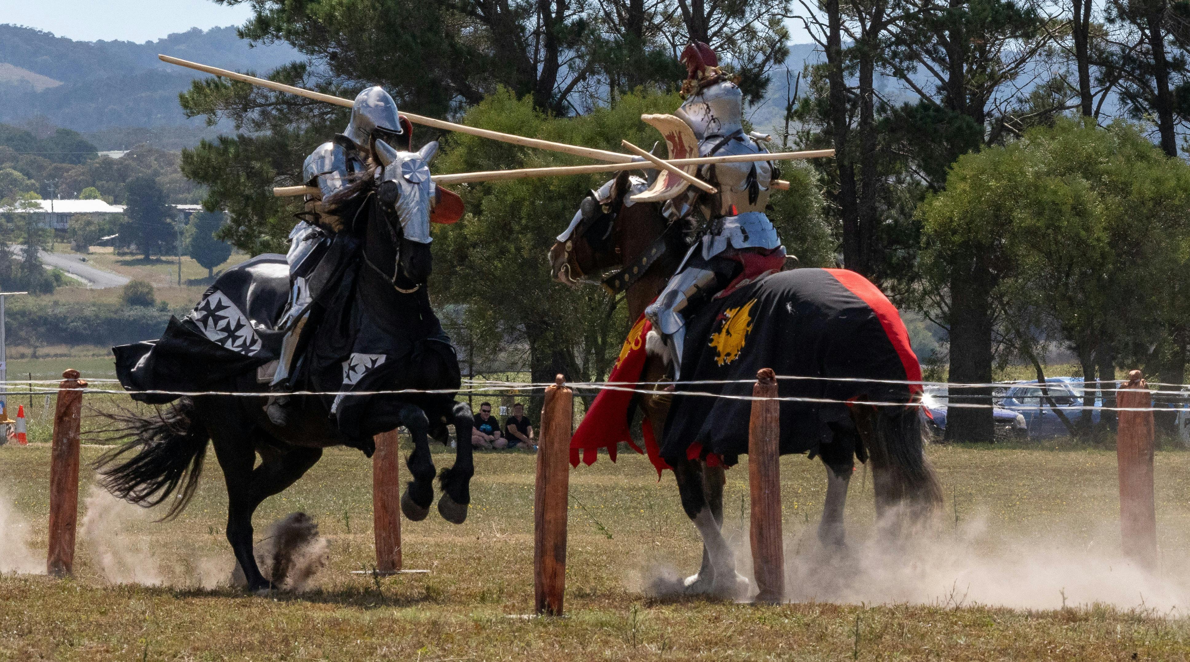 The Tarago Medieval Faire