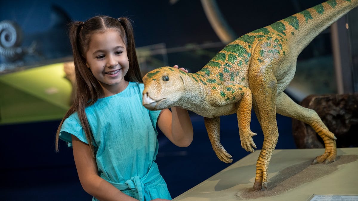 Museum of Tropical Queensland