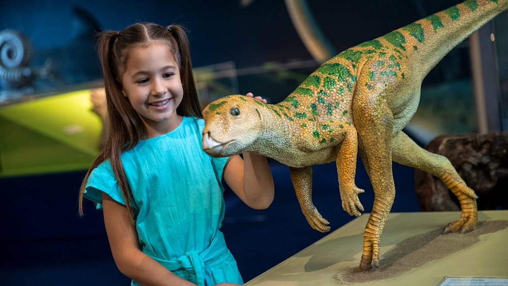 Queensland Museum Tropics