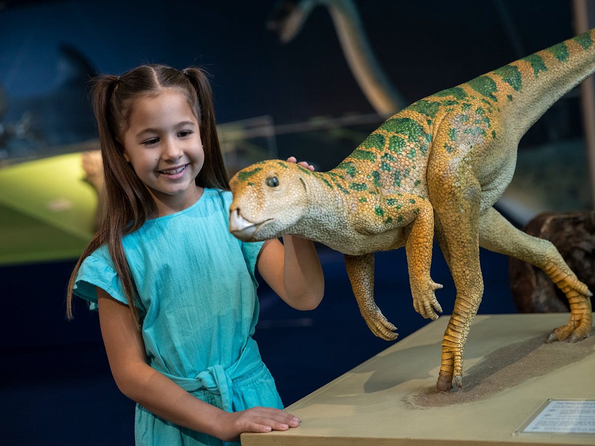 Museum of Tropical Queensland