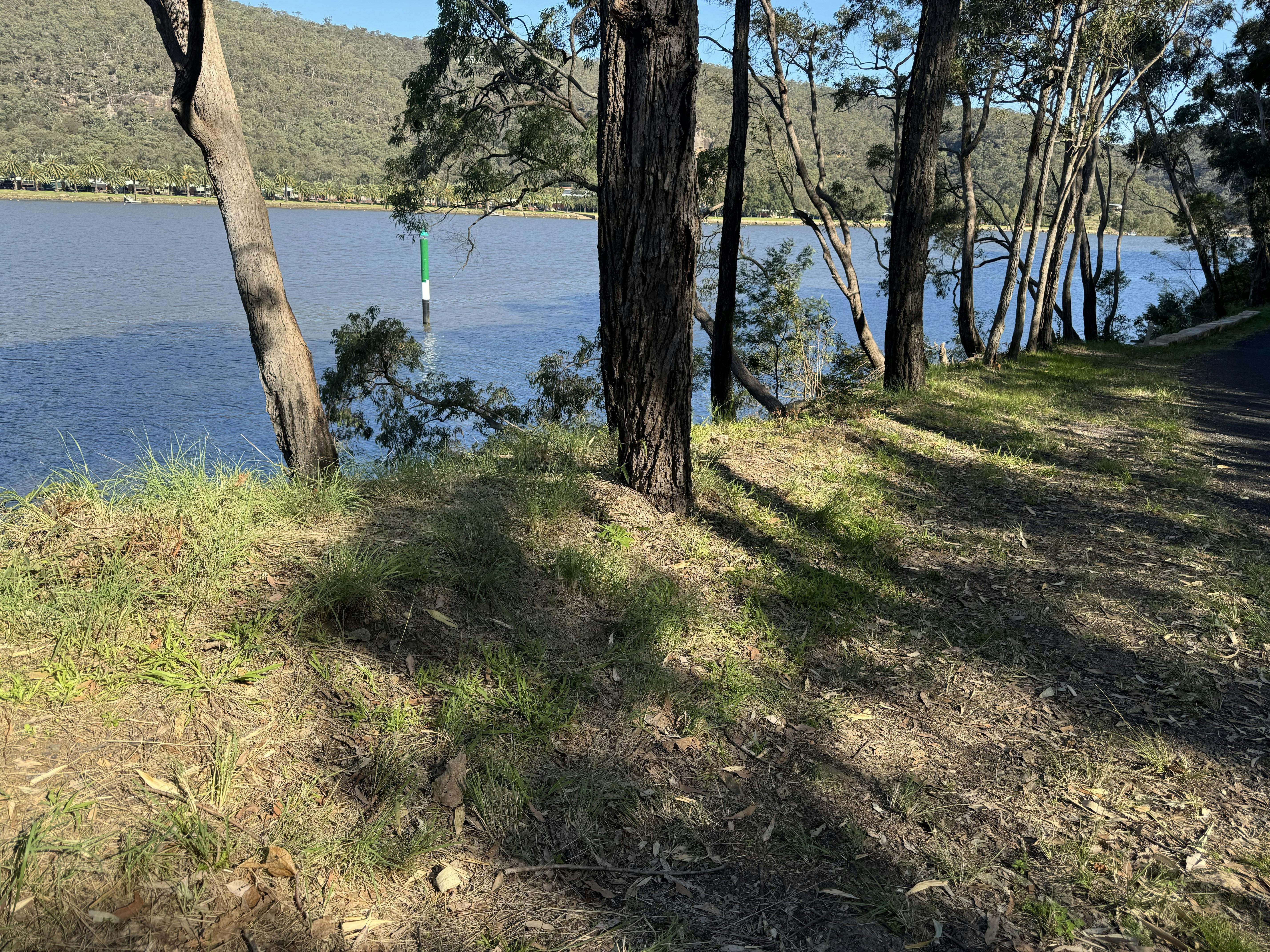 The Great River Walk track keeps close to the river bank in many locations