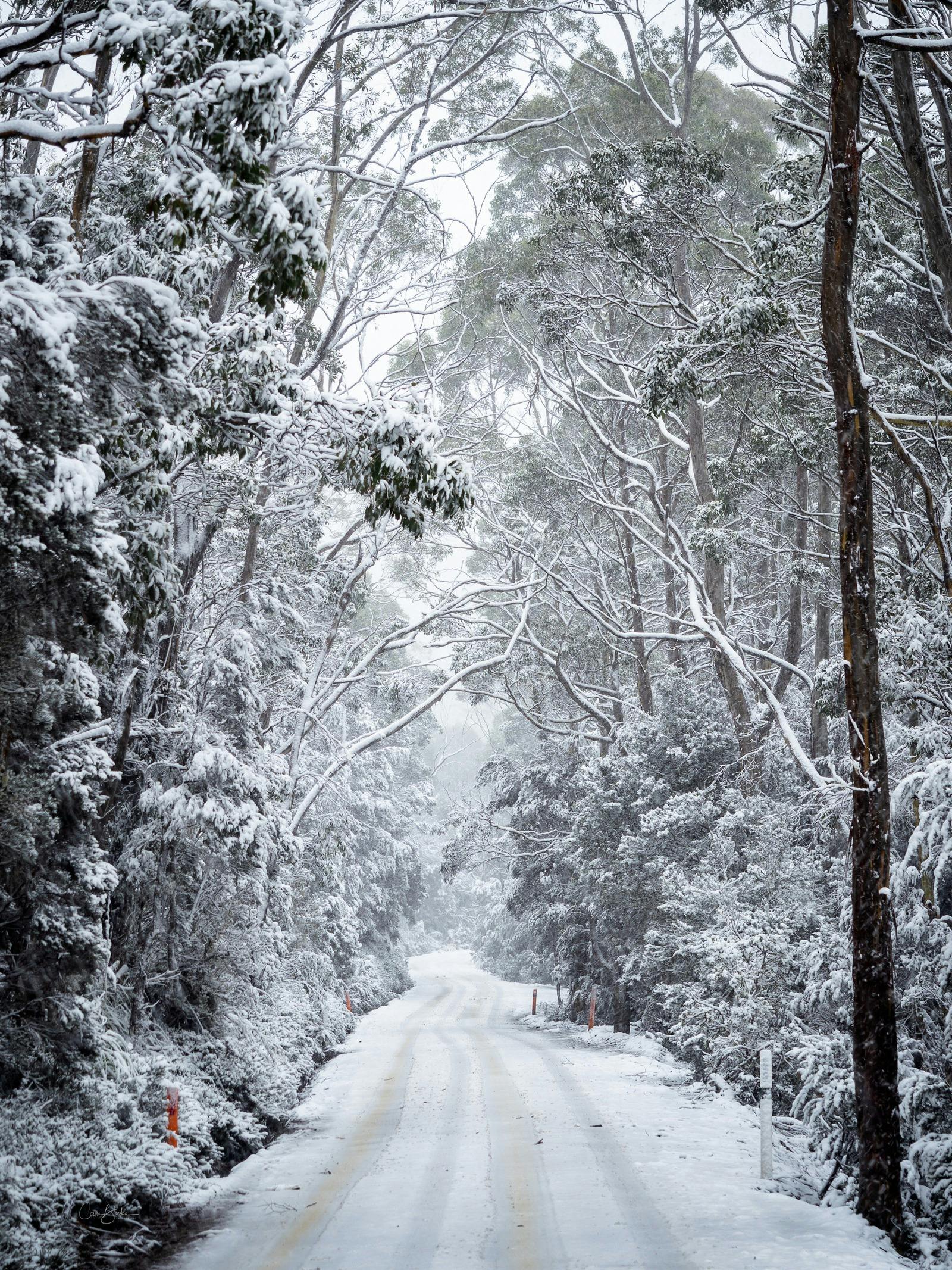 Snow Roads at Cradle