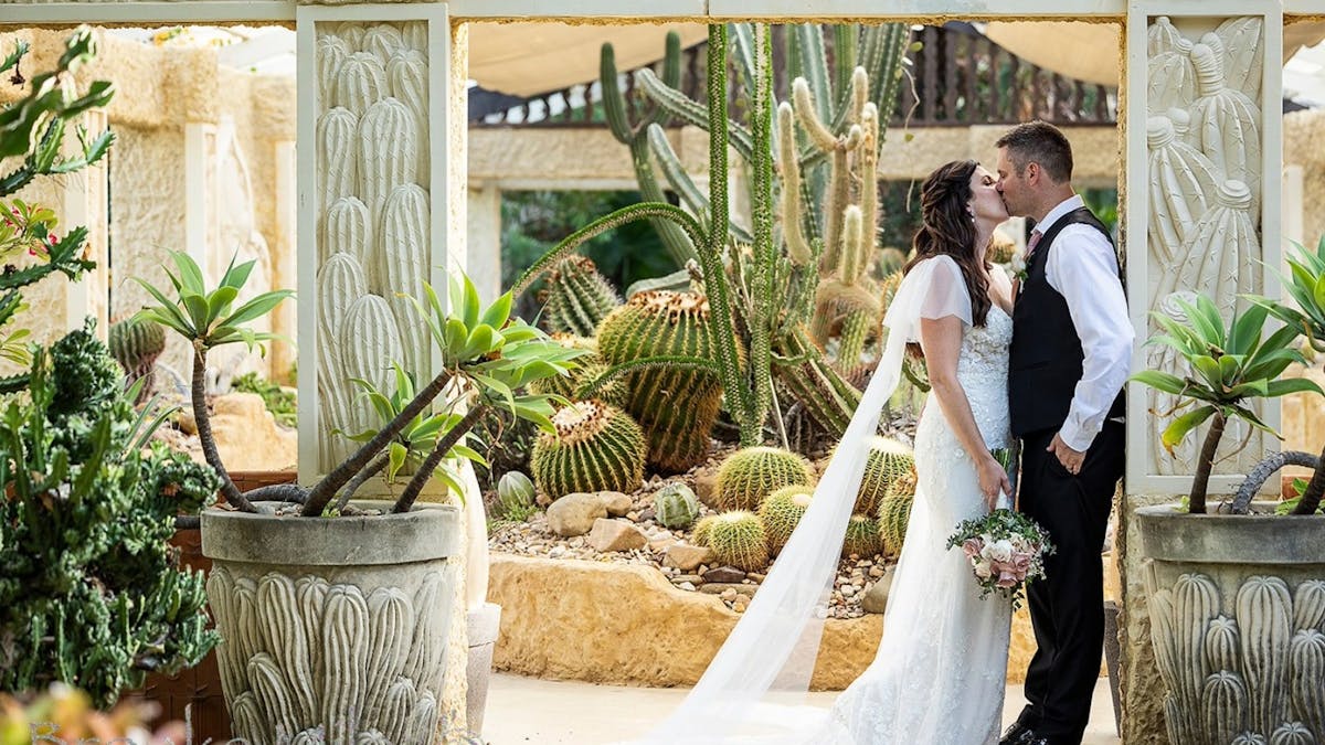 Cactarium,  Villa Botanica Airlie Beach
