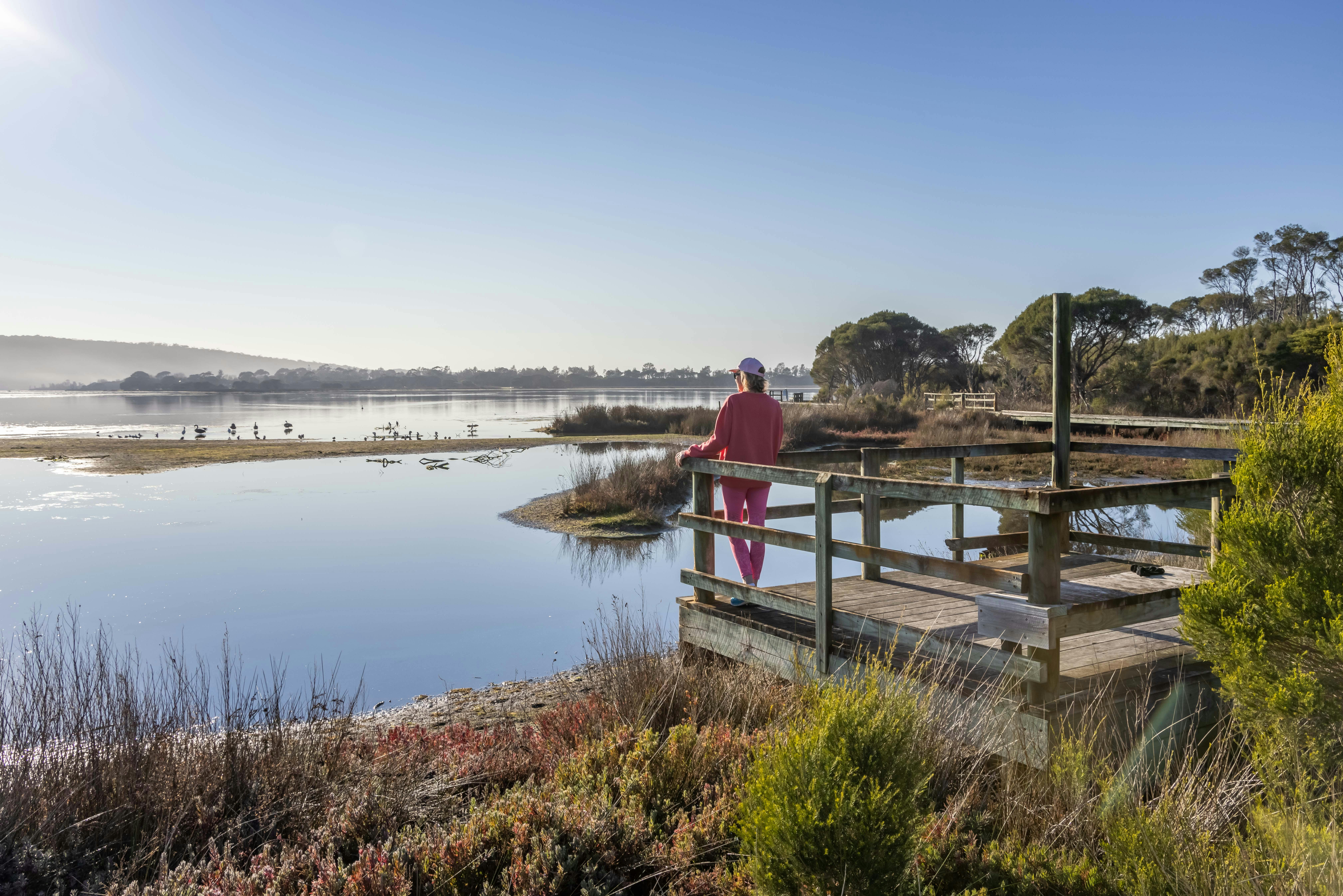 Lake Curalo Boardwalk, Eden, walks, boardwalk, lagoon, Sapphire Coast, South Coast, beach walks