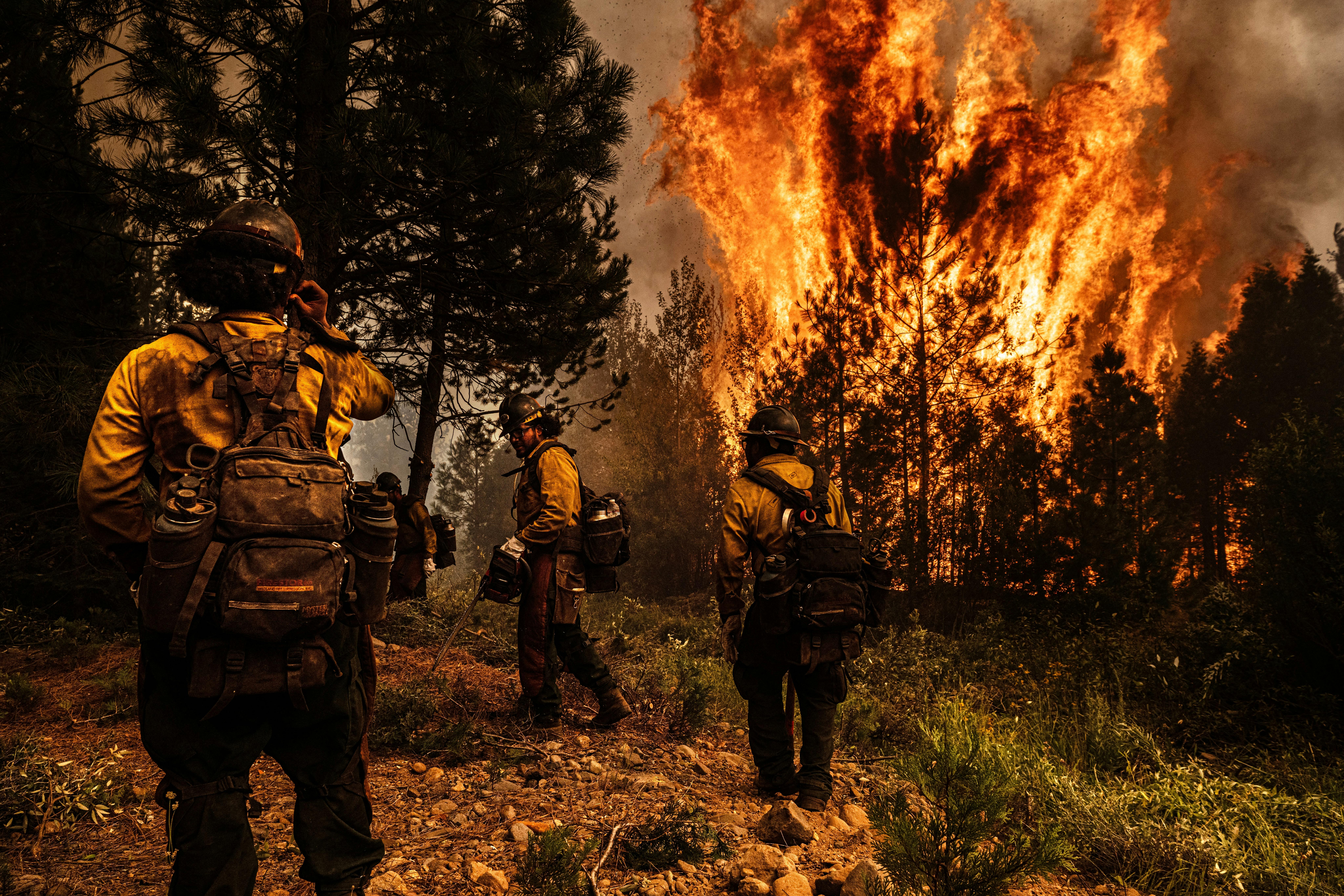 Nikon-Walkley Press Photography Exhibition