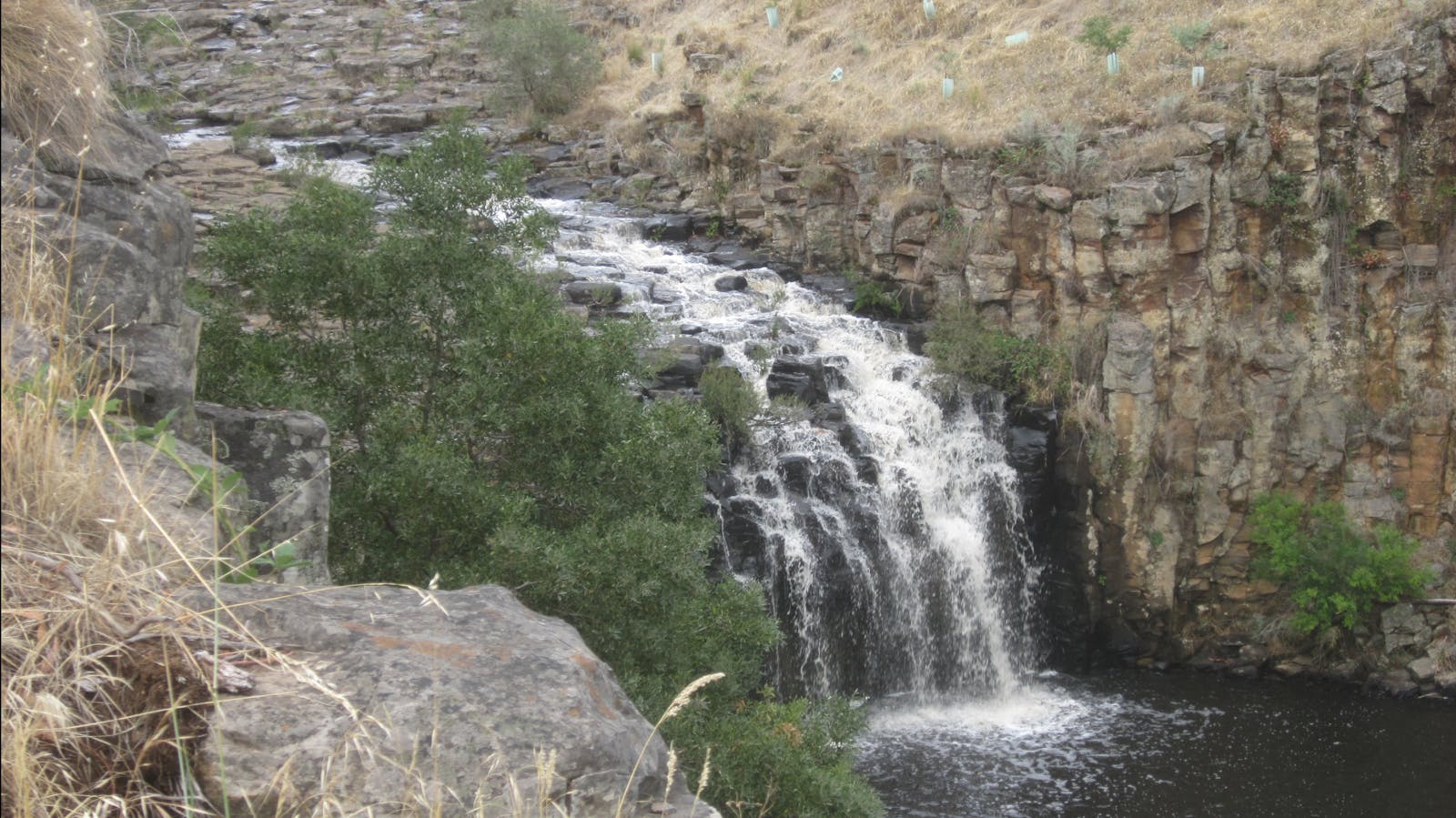 Loddon Falls on the Loddon River - Glenlyon