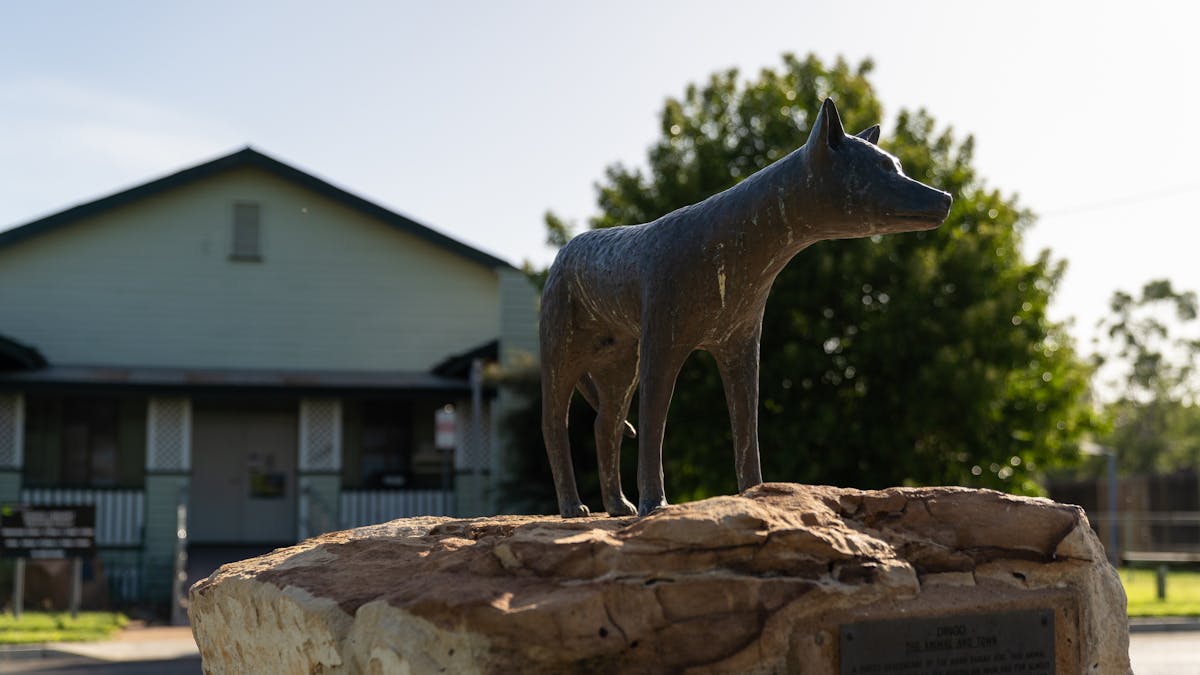 Dingo statue