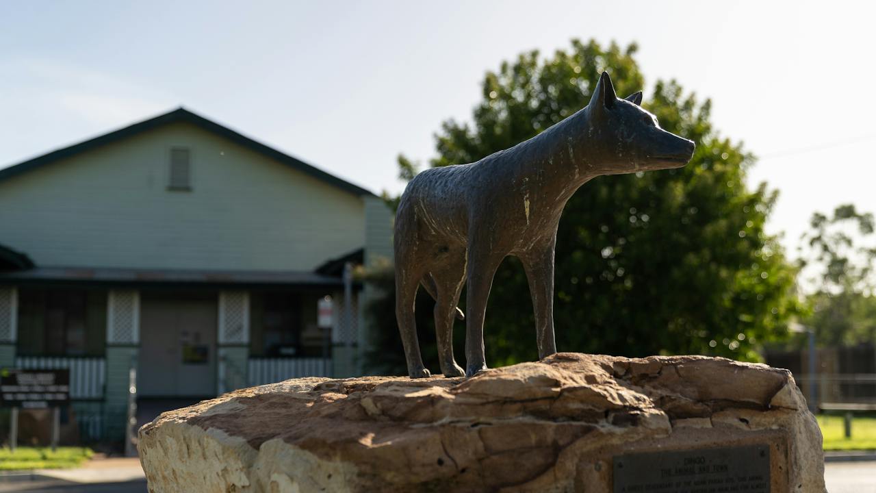 Dingo statue