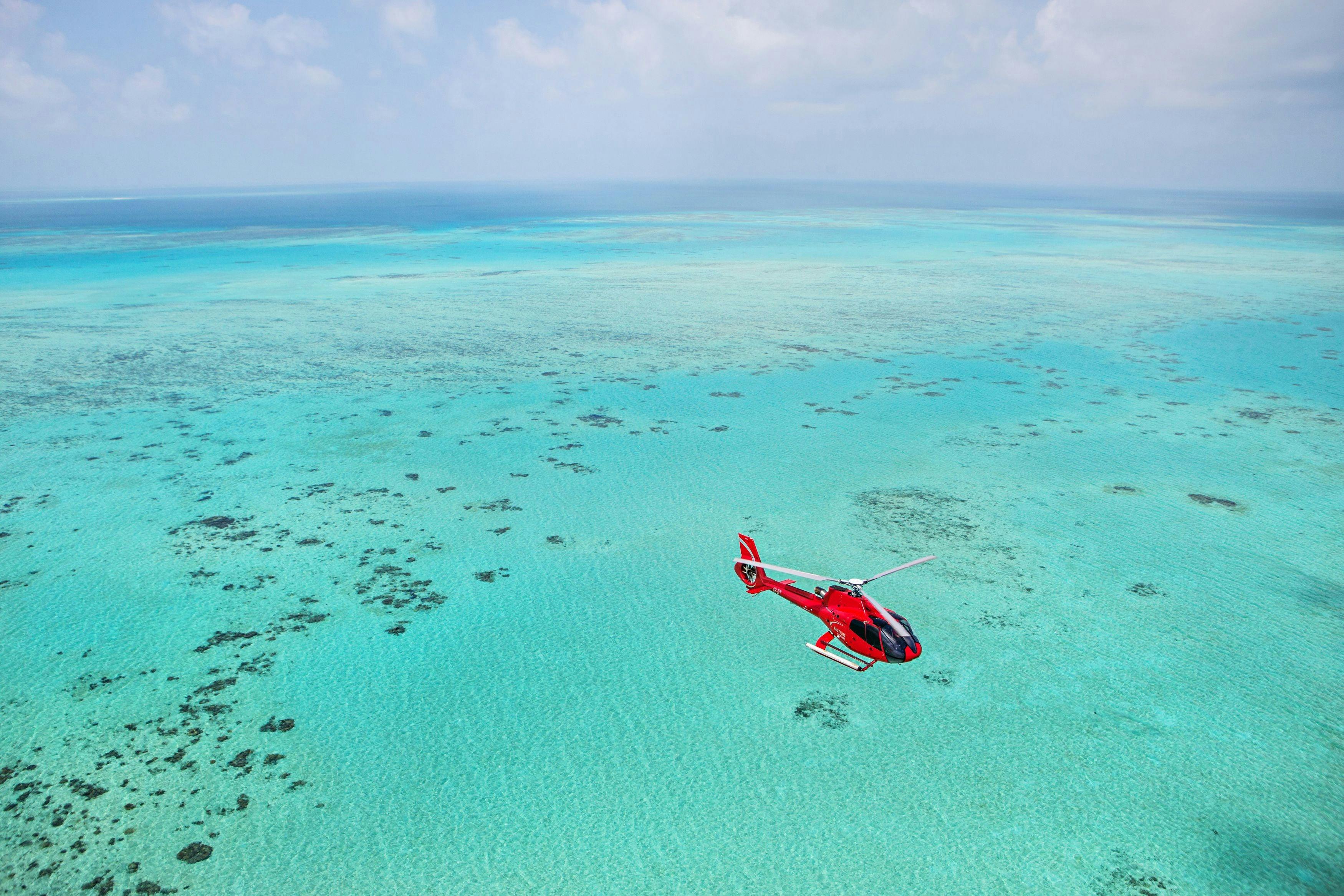 Reef Scenic
