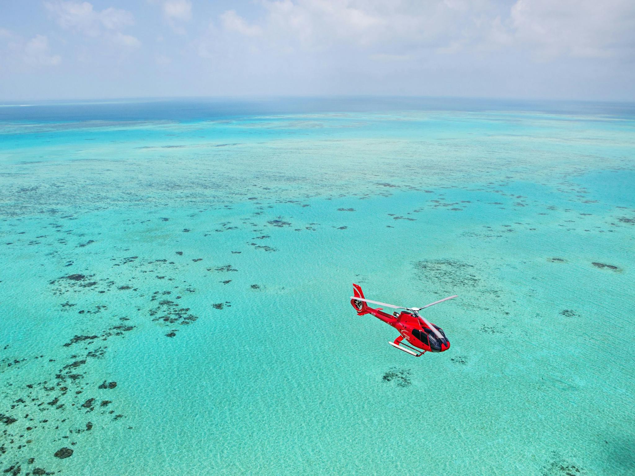 Reef Scenic Reef Scenic