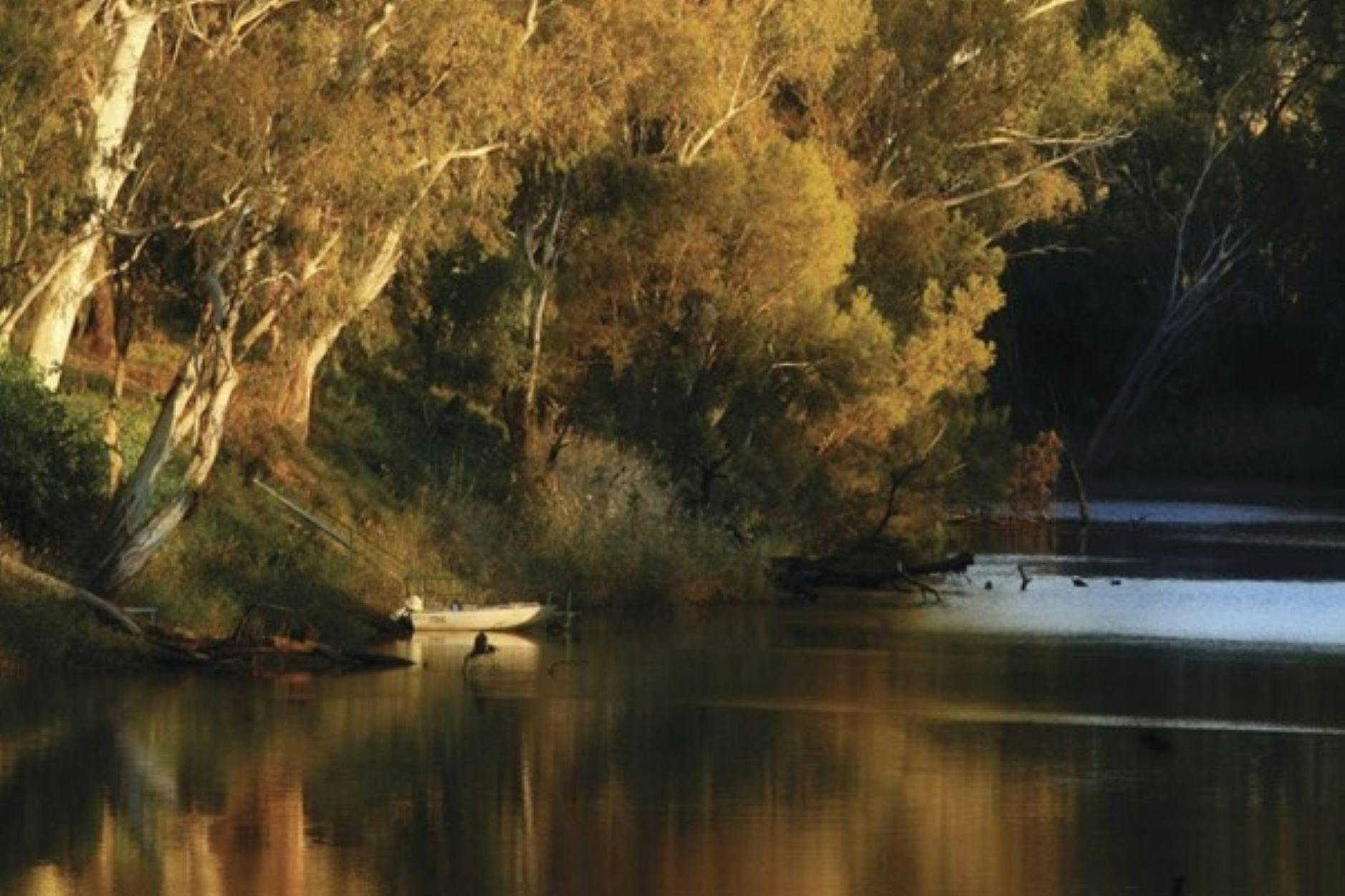 The Leichhardt River