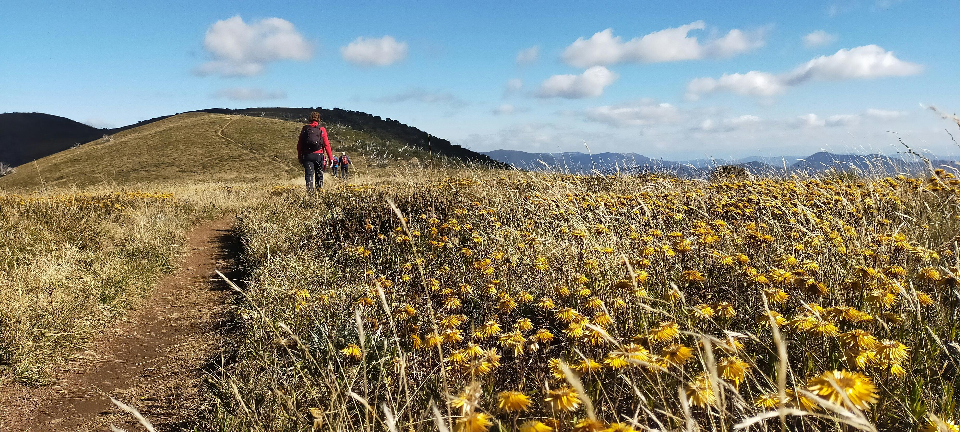Victorian High Country
