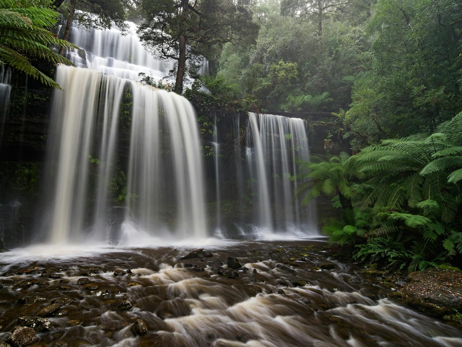 Mt Field and Styx Valley Photography Workshop Tasmania