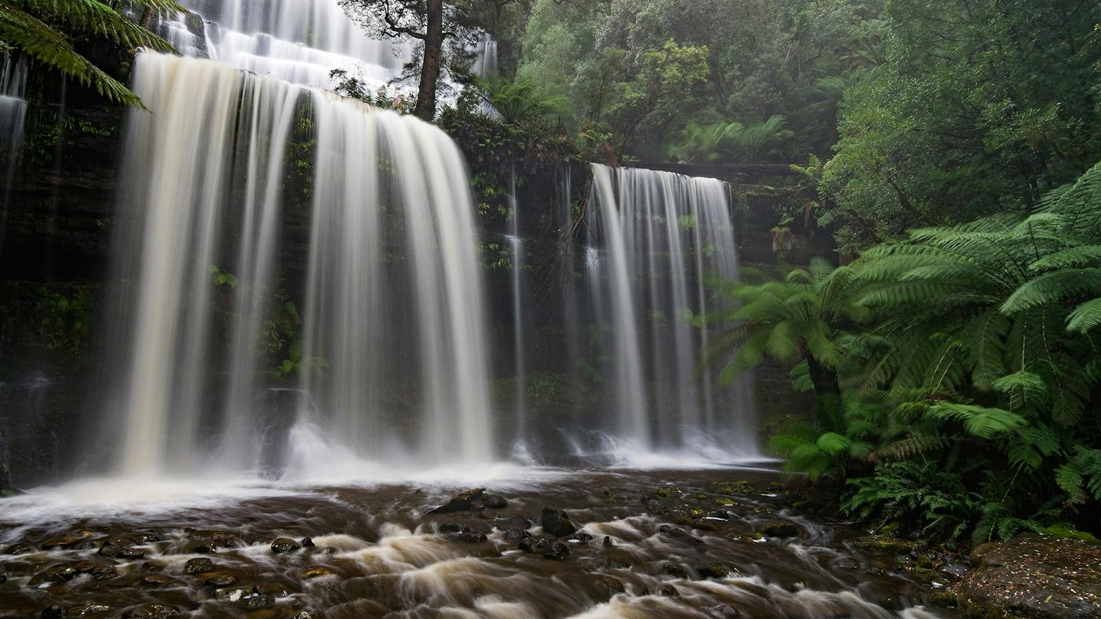 Mt Field and Styx Valley Photography Workshop Tasmania