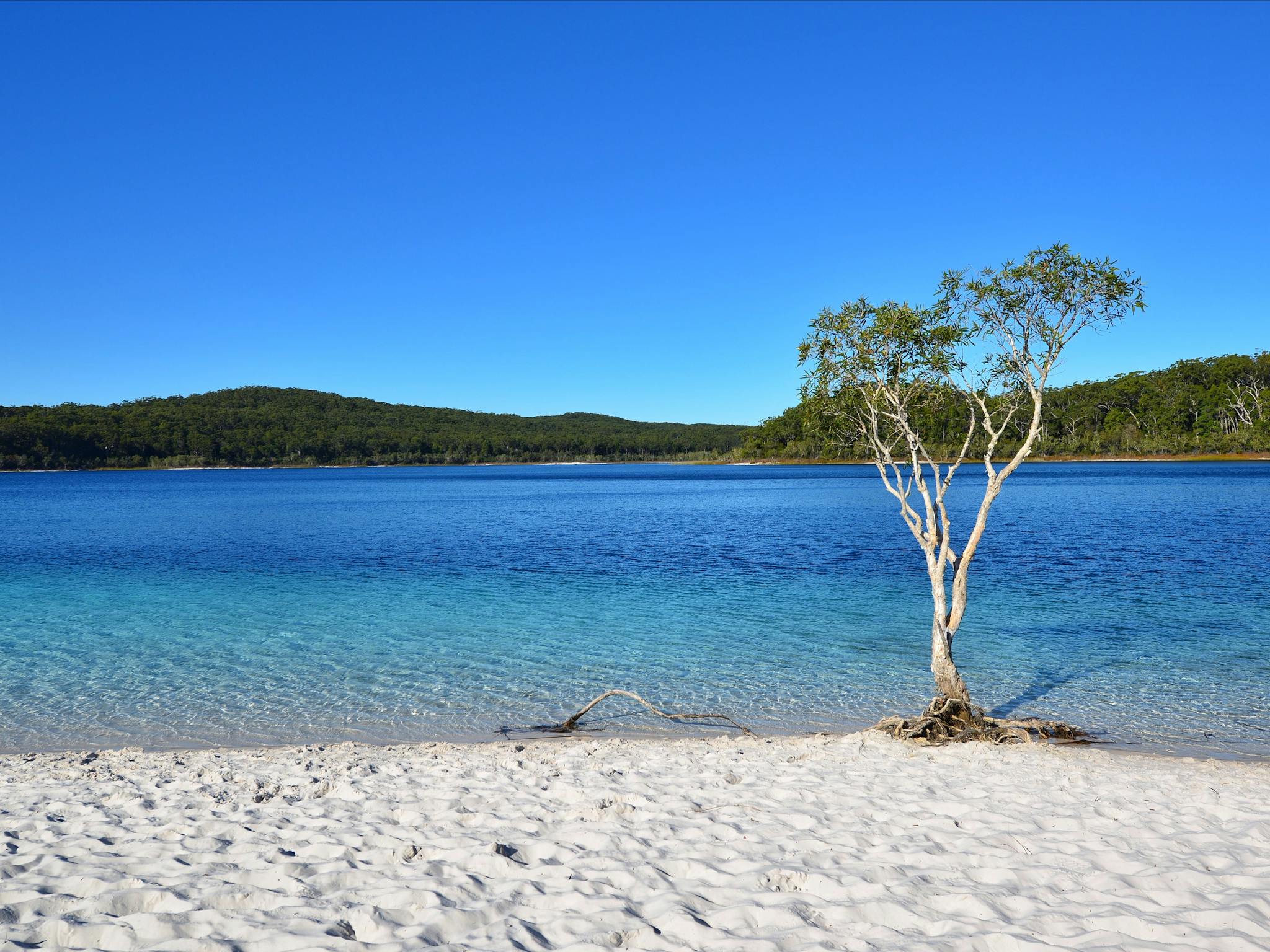 Lake McKenzie BIG4 Point Vernon Holiday Park