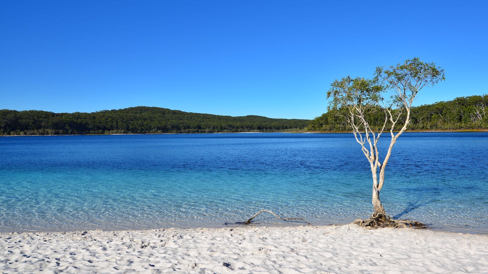 Lake McKenzie Visit Fraser Coast