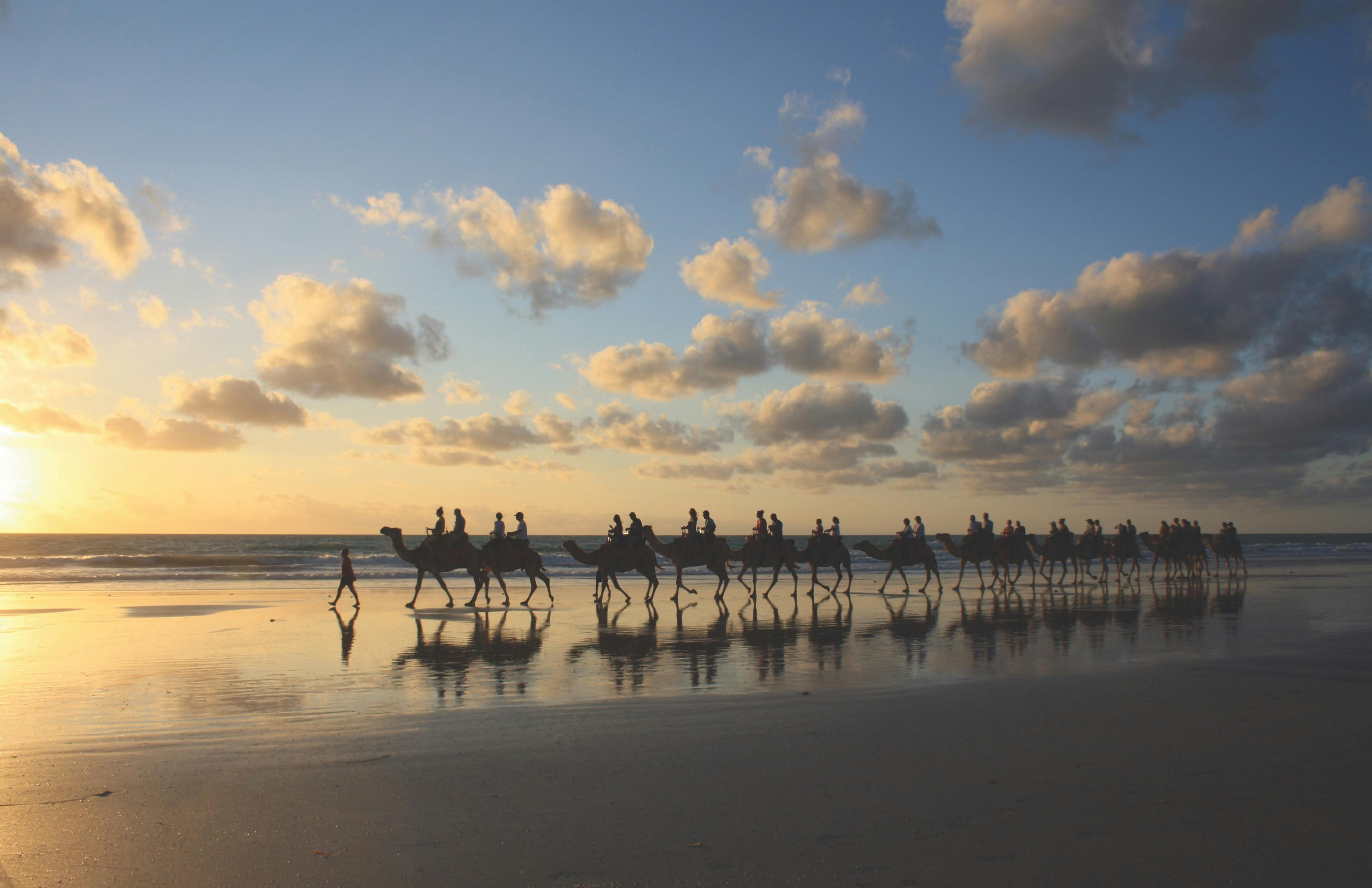 Red Sun Camels Sensational Sunset Tour