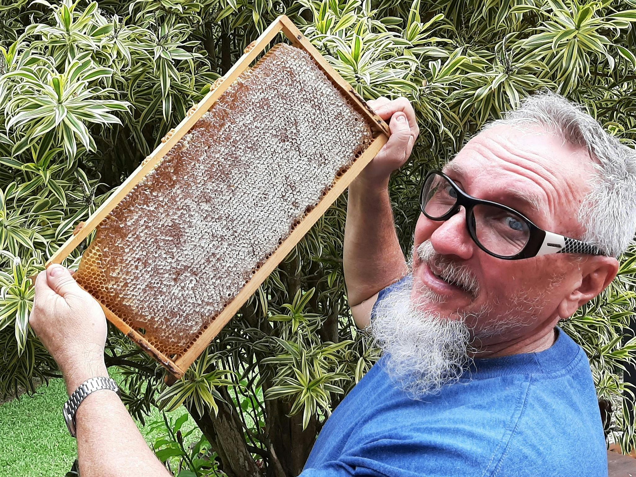 Learn how honey is turned into Mead Learn how honey is turned into Mead