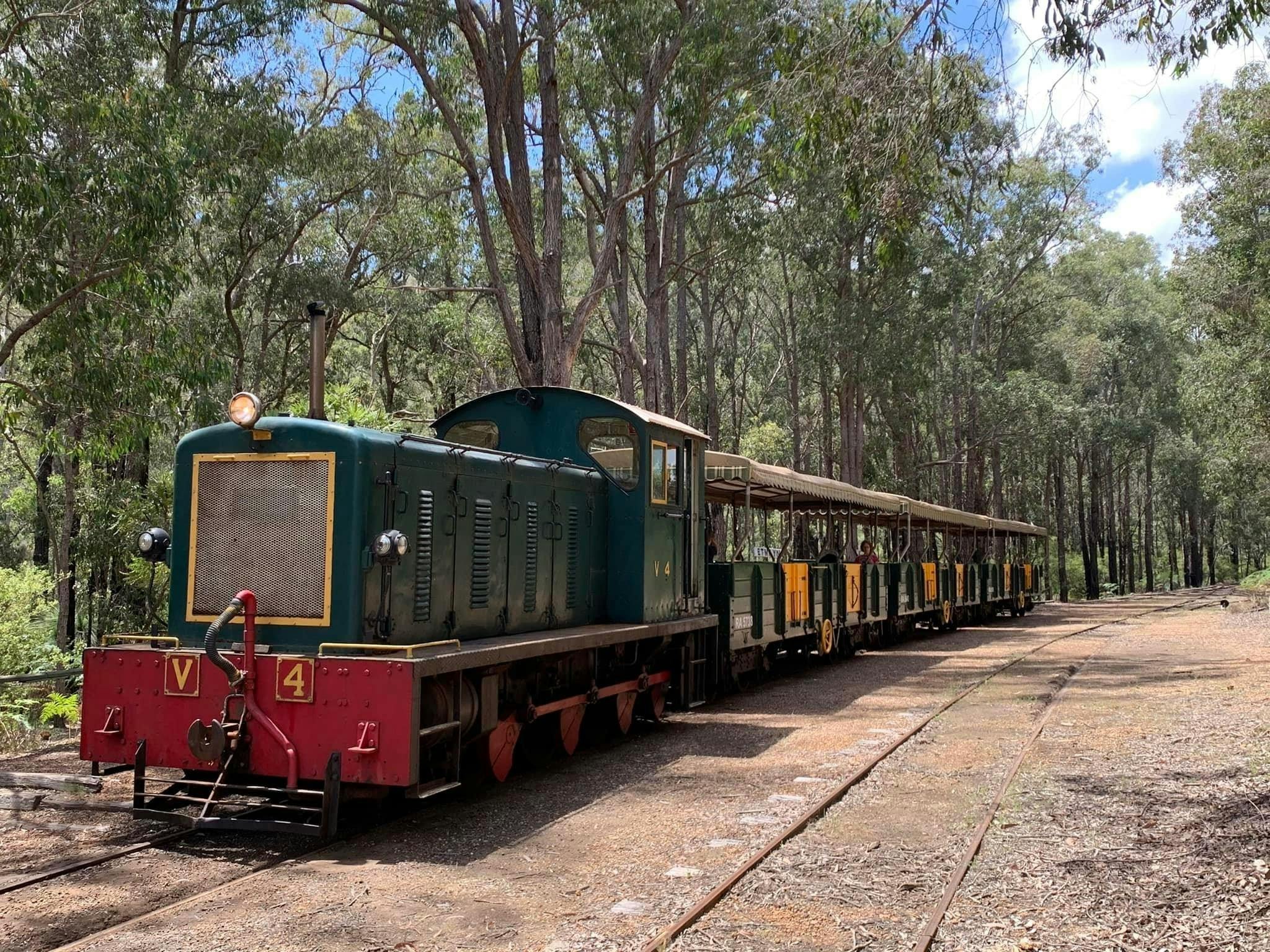 Forest Train